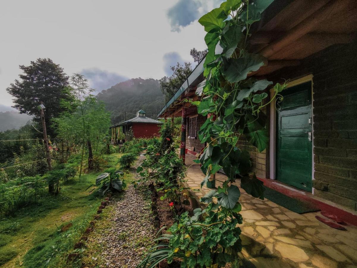 Zenoaks Homestay المورا المظهر الخارجي الصورة